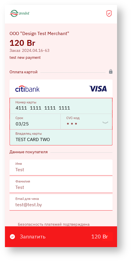 Техническая документация Белоруссия > Дополнительные возможности по изменению внешнего вида платежных страниц > screenshot-52n.png